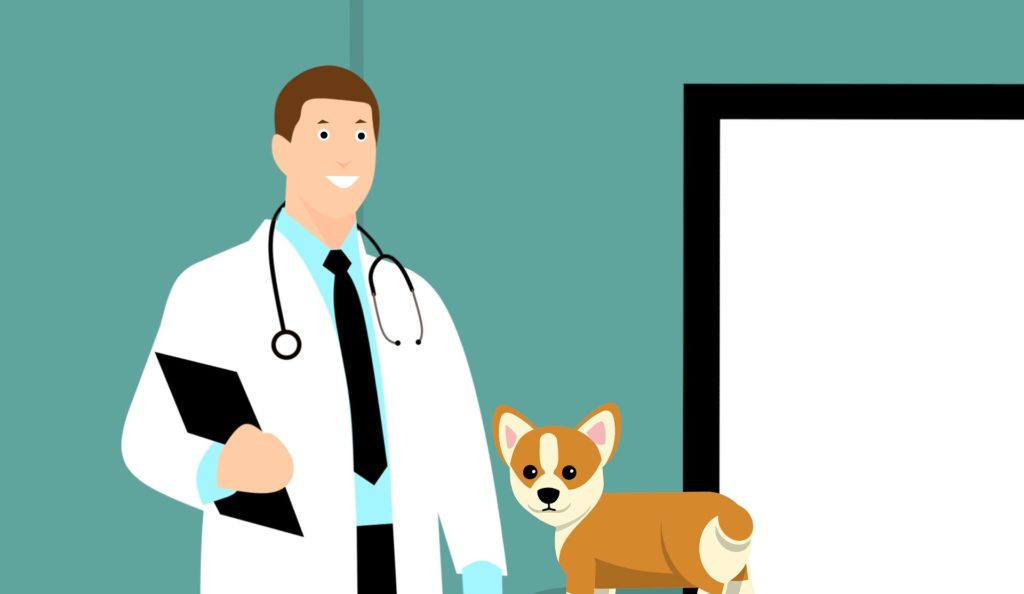 Sterling Practice Management can help this vet to run a successful veterinary practice